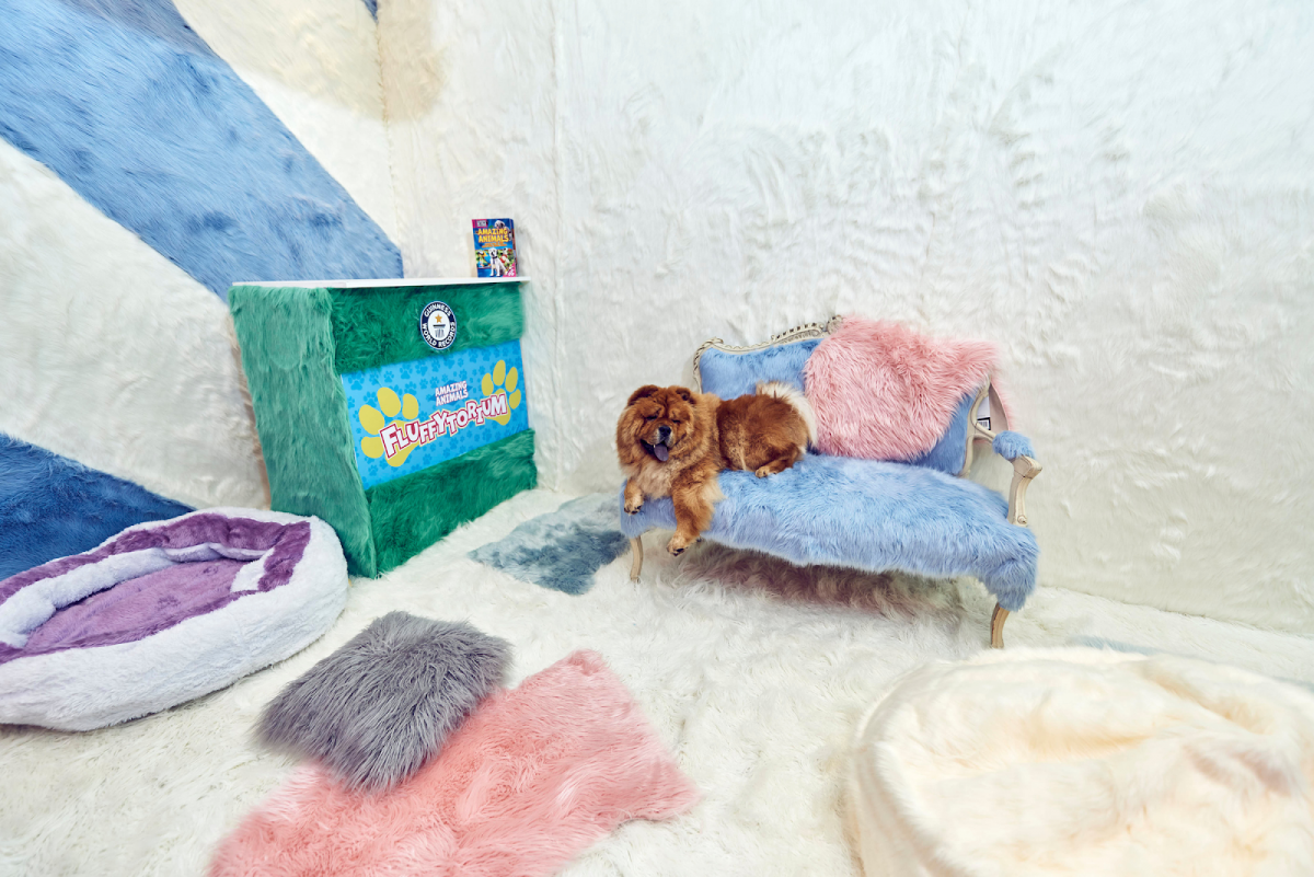 Fluffytorium_Image5